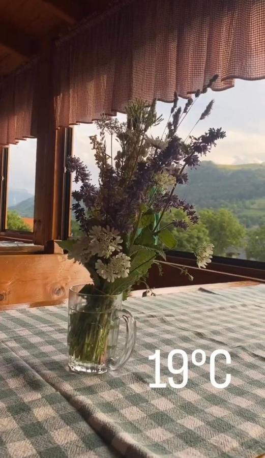 Bed And Breakfast Umoljani מראה חיצוני תמונה